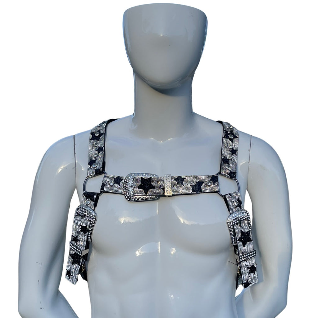 Silver Diamond Harness