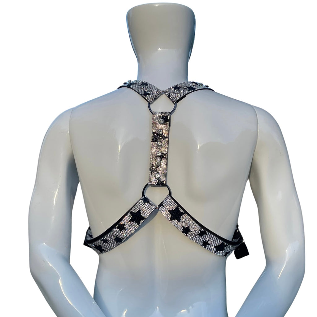 Silver Diamond Harness