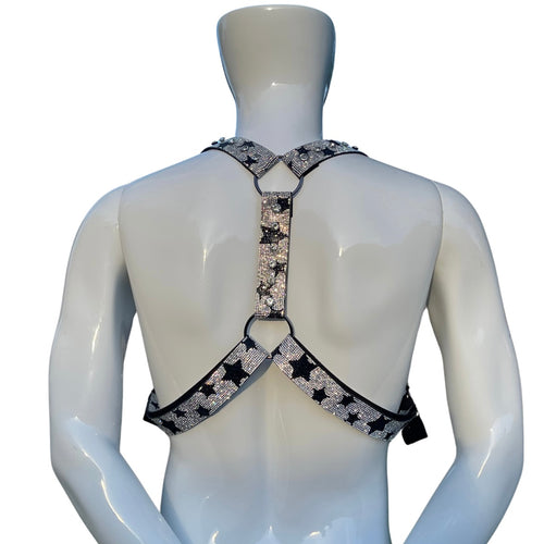 Silver Diamond Harness